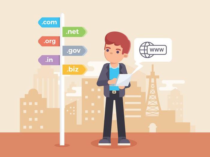 فاکتورهای حائز اهمیت در دامنه و تاثیر آن در سئو