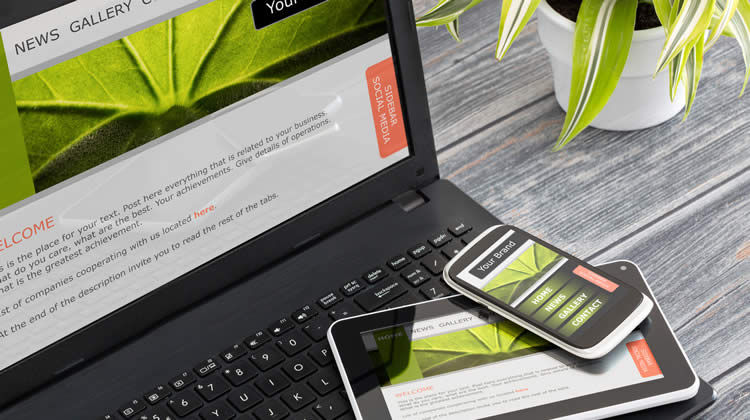 بهینه سازی وب سایت برای گوشی های هوشمند